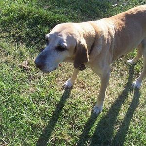 Meet your Posher, Joseph